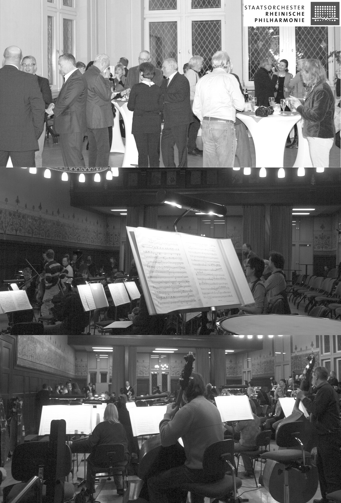 Collage HPgrau