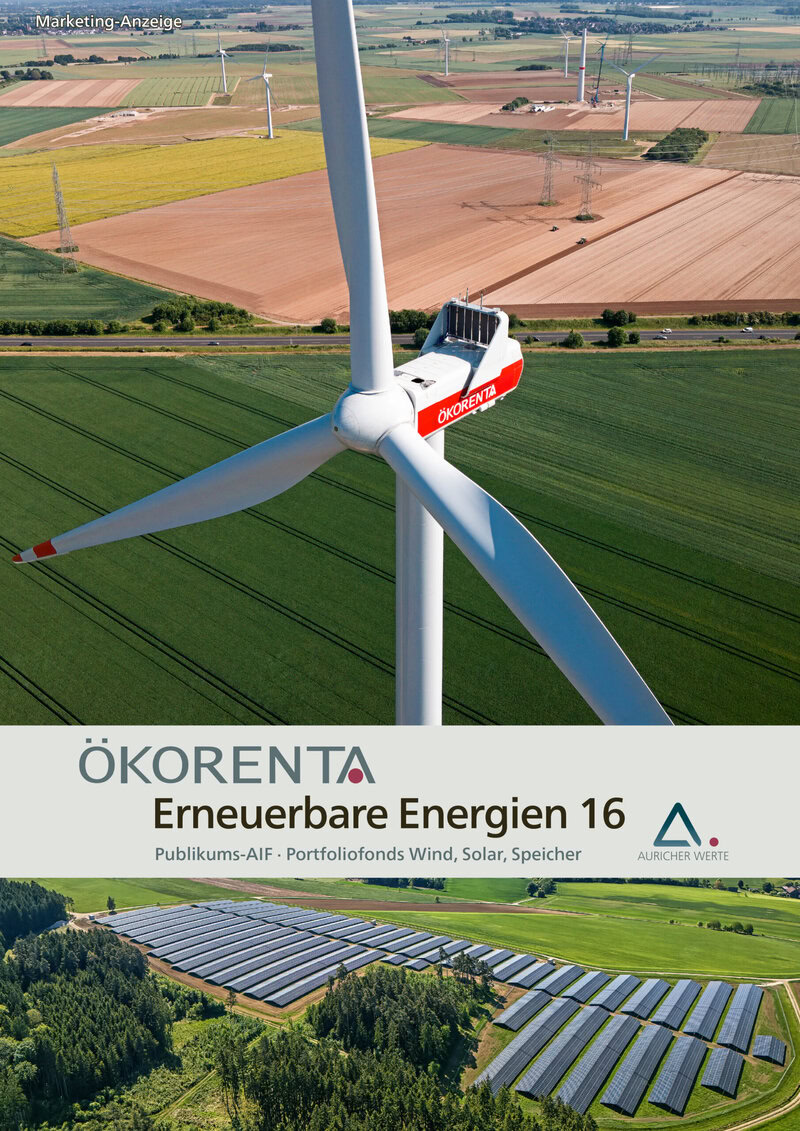 Ihr Investment in grünen Strom